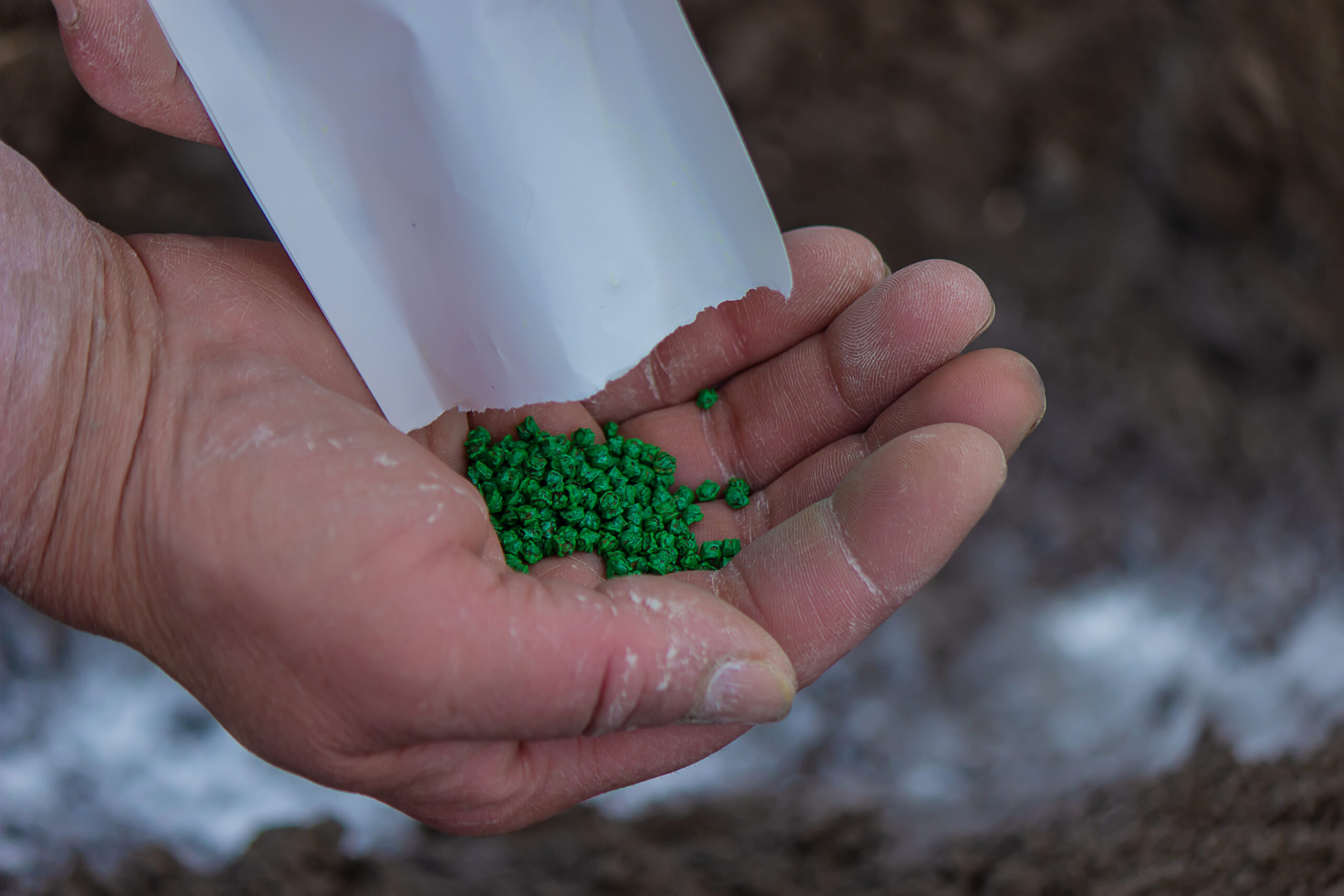 Young peasant woman planting seeds of carrots, radishes and beets in a warm black earth. Warm spring sunny day is good time for planting. Social assistance to farmers. Close-up view hands